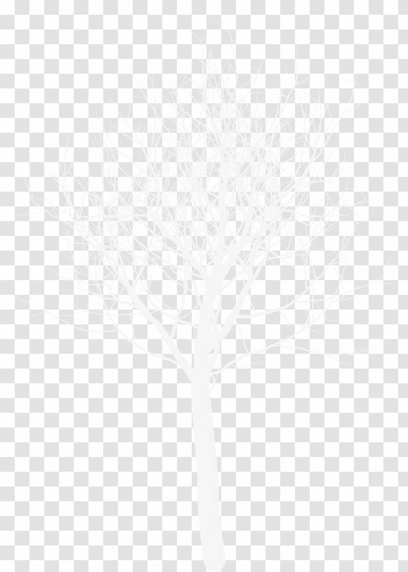 Twig Tree Leaf Plant Branching - Class Room Transparent PNG