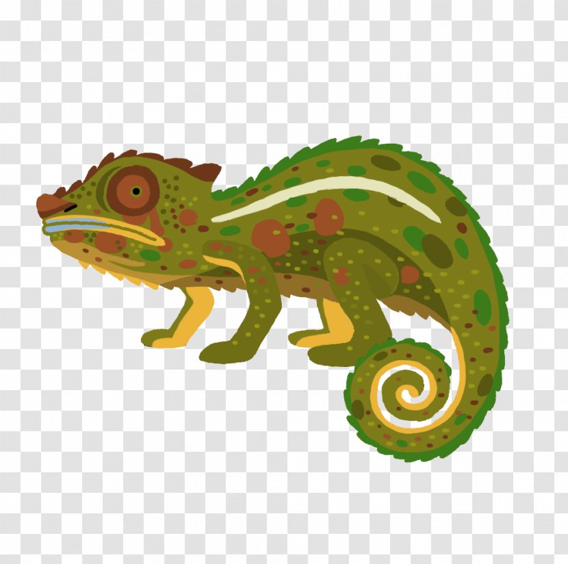 Chameleons Iguanas - Fauna - Cameleon Transparent PNG