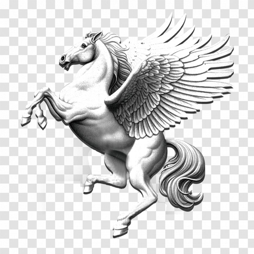 Download - Search Engine - Pegasus Transparent PNG