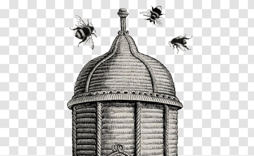 Western Honey Bee Beehive Beekeeping Queen - Bumblebee Transparent PNG
