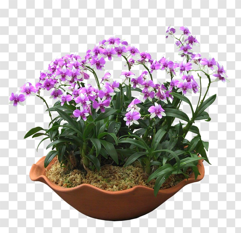 Grow Light Light-emitting Diode Flowerpot Houseplant - Gardening - Bonsai Transparent PNG