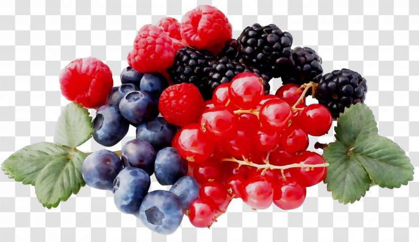 Zante Currant Raspberry Blueberry Boysenberry Bilberry - Local Food - Dewberry Transparent PNG