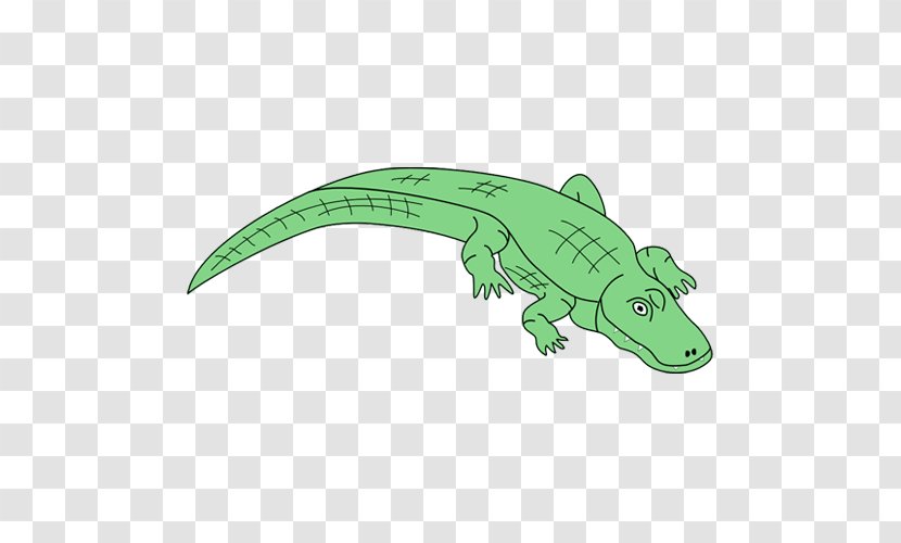 Dinosaur - Crocodilia - Tail Lizard Transparent PNG