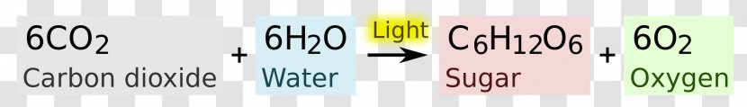 Photosynthesis Light Balance Equation Plant - Science Transparent PNG