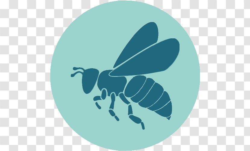 Hornet Bee Decal Sticker Wasp - Membrane Winged Insect Transparent PNG