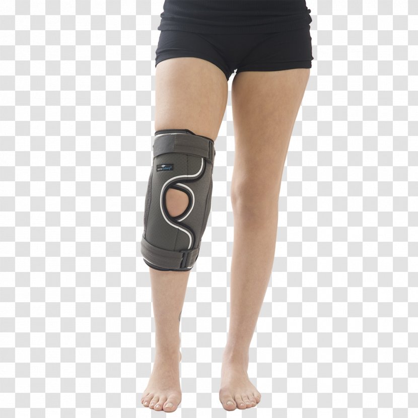 Orthotics Splint Knee Shoulder Meniscus - Heart - Tree Transparent PNG