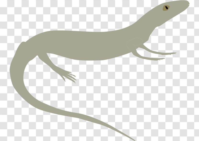 Protorothyris Protorothyrididae Captorhinidae Eureptilia Cephalerpeton - Pro Clipart Transparent PNG