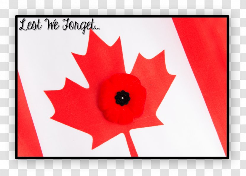 Flag Of Canada Public Holiday Armistice Day - Love Doing Activities On The Seventh Transparent PNG