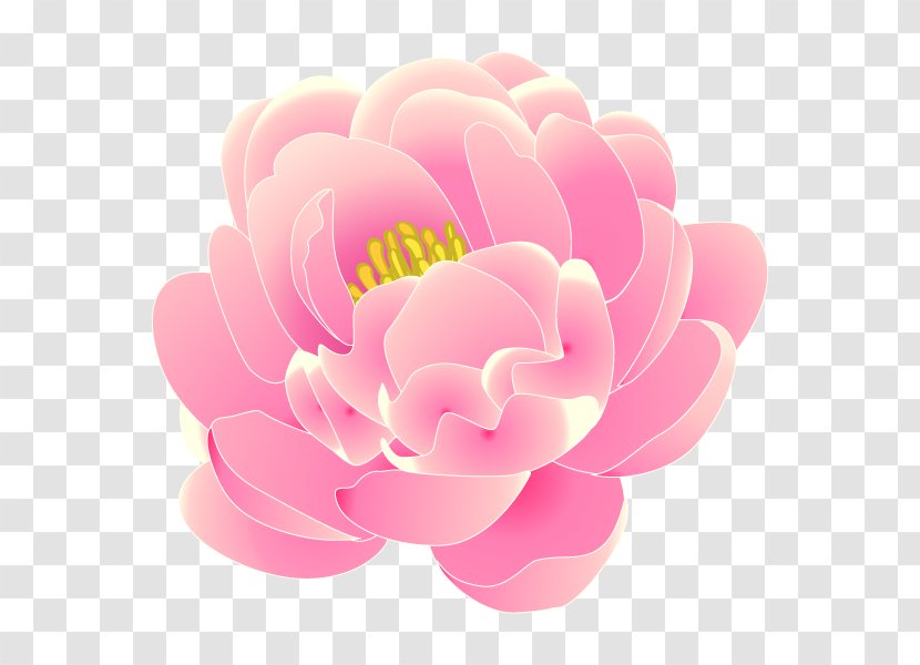 Sasaki Buddhist Altar Shop Tsurusaki Peony Knowledge Skin - Pink Transparent PNG