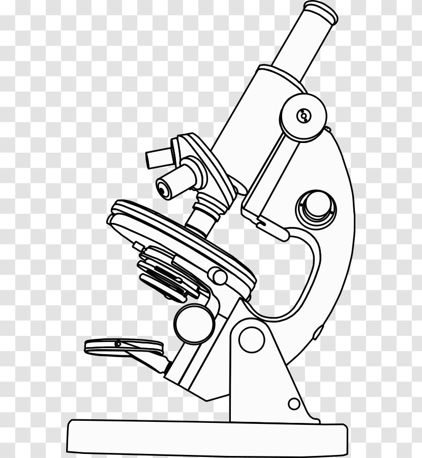 Optical Microscope Clip Art - Cartoon - Black And White Designs Transparent PNG
