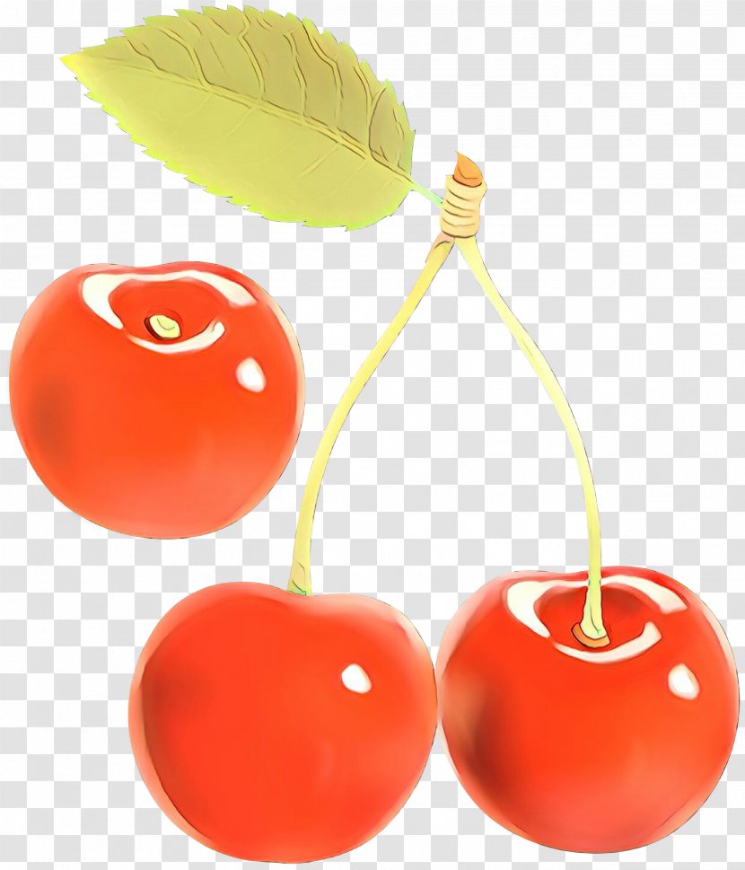 Apple Cartoon - Prunus Food Transparent PNG