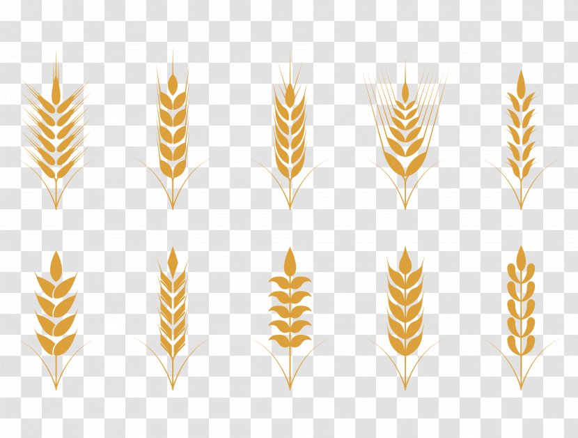 Oat Cereal Wheat Icon - Vector Simple Flat Golden Pattern Transparent PNG