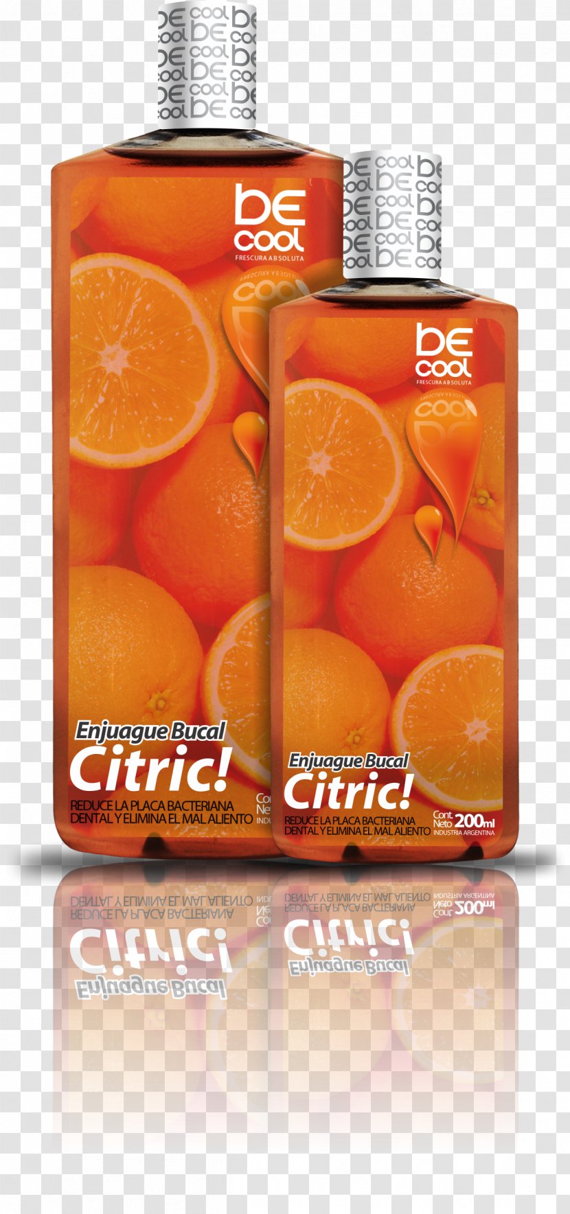Orange Soft Drink Clementine Valencia - Vegetarian Food Transparent PNG