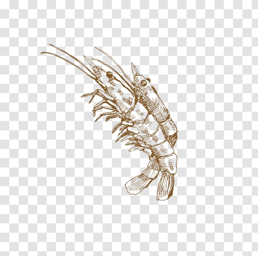 Palinurus Elephas Crayfish Homarus Computer File - Fashion Accessory - Hand-painted Lobster Transparent PNG