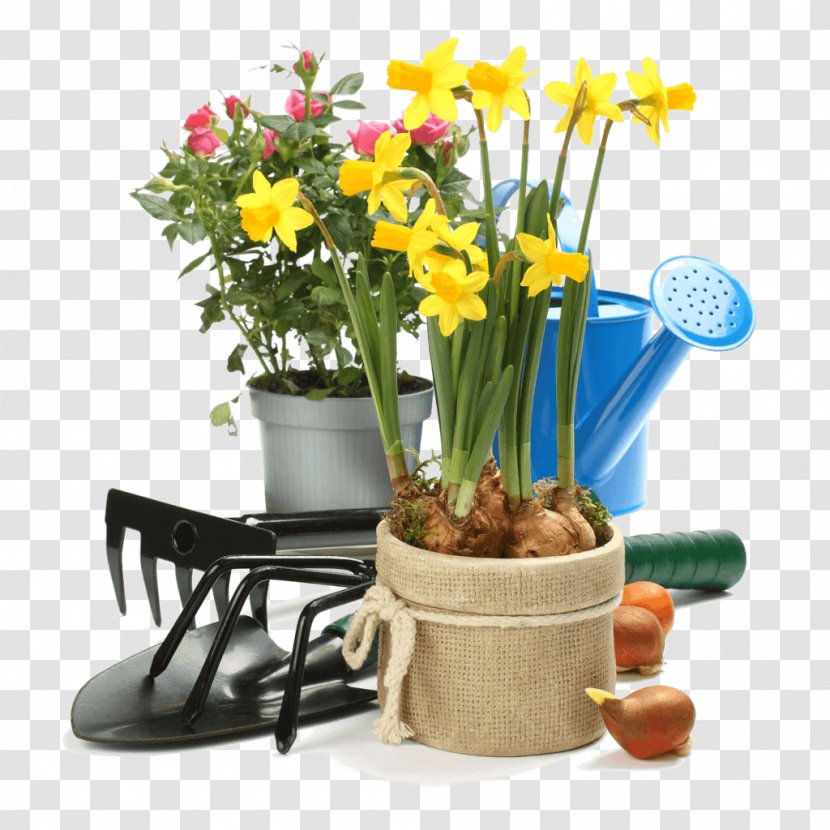 Flowerpot Stock Photography - Gardening Transparent PNG