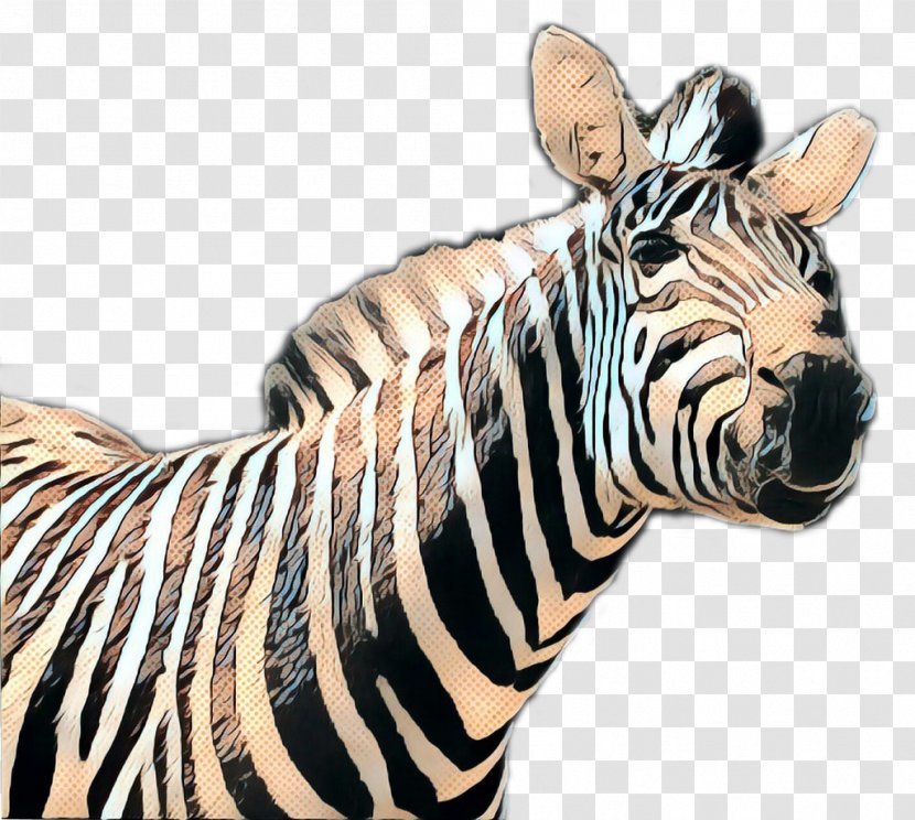 Zebra Cartoon - Sea - Neck Animal Figure Transparent PNG