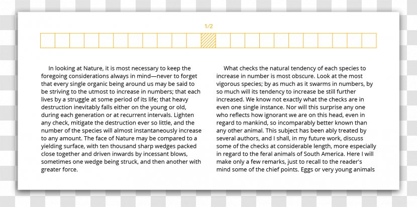 Document Line - Text - Layout Transparent PNG