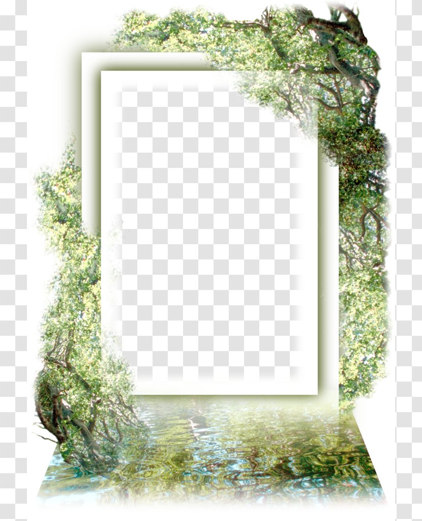 Picture Frame Clip Art - Child - Personalized Tree Decoration Border Transparent PNG