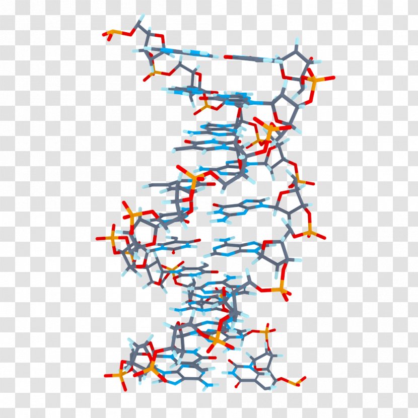 DNA Clip Art - 3d Computer Graphics - Biology Transparent PNG