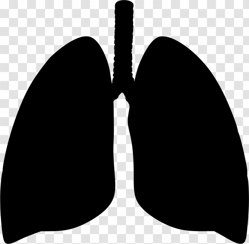 Clip Art Lung - Blackandwhite Transparent PNG