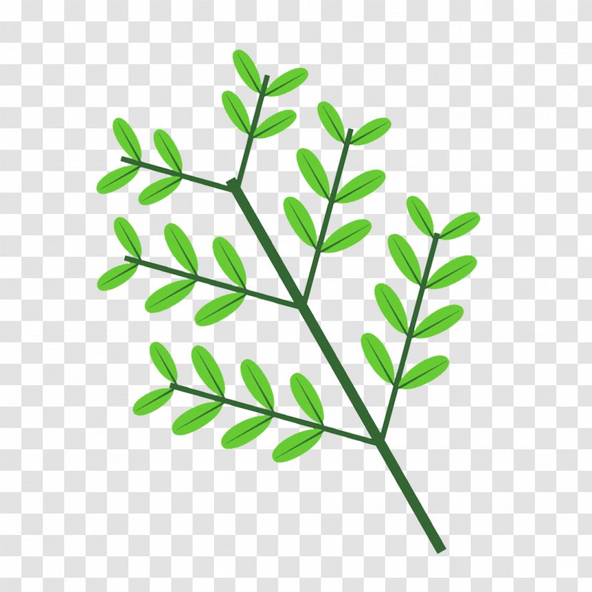 Twig Plant Stem Leaf Clip Art Line - Grass - Aesculus Hyppocastanum Transparent PNG