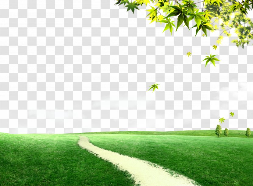 Grassland Trail - Energy - Landscaping Transparent PNG