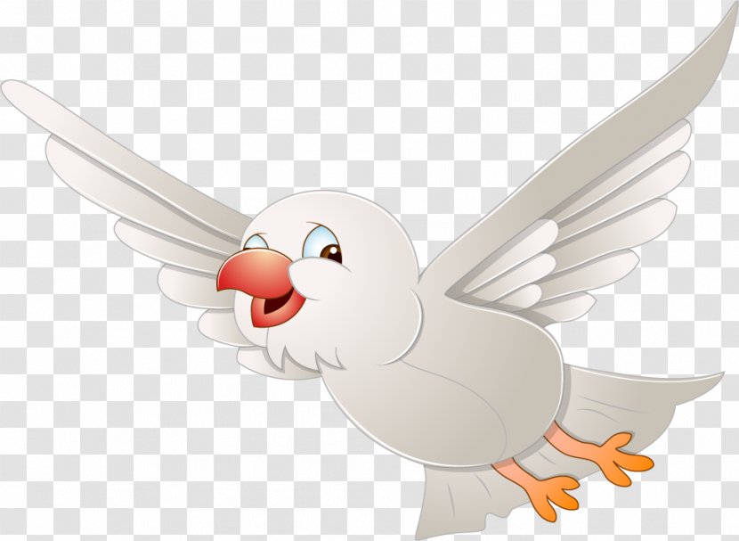 Bird Cartoon Drawing Caricature - Pollinator Transparent PNG