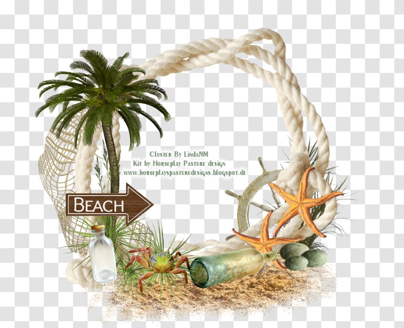 Thepix Picture Frames Beach - Frame Transparent PNG