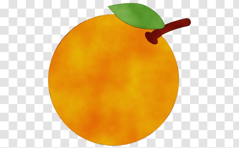 Orange - Peach Tree Transparent PNG