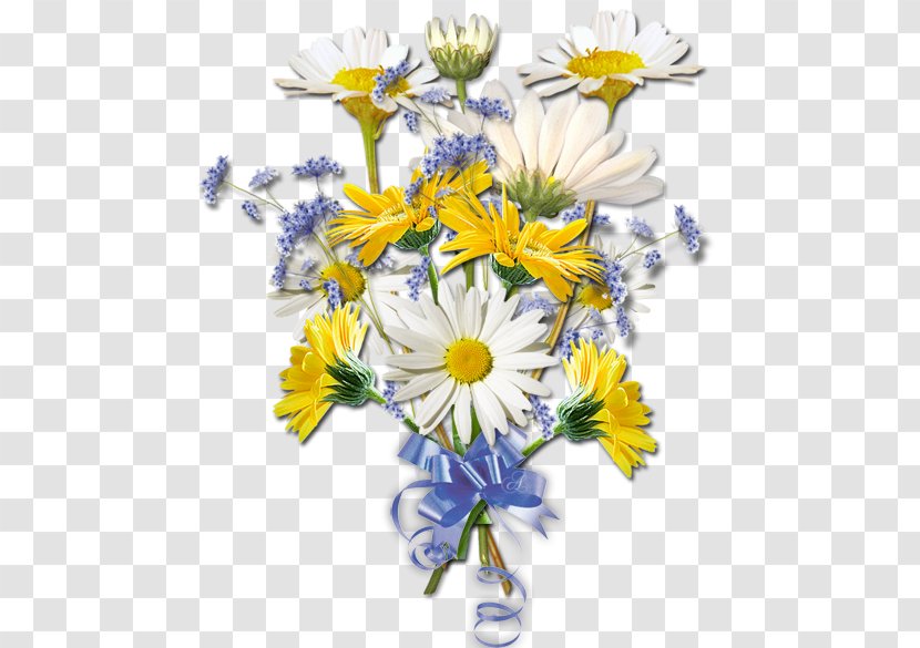 Common Daisy Floral Design Cut Flowers Oxeye Chrysanthemum Transparent PNG