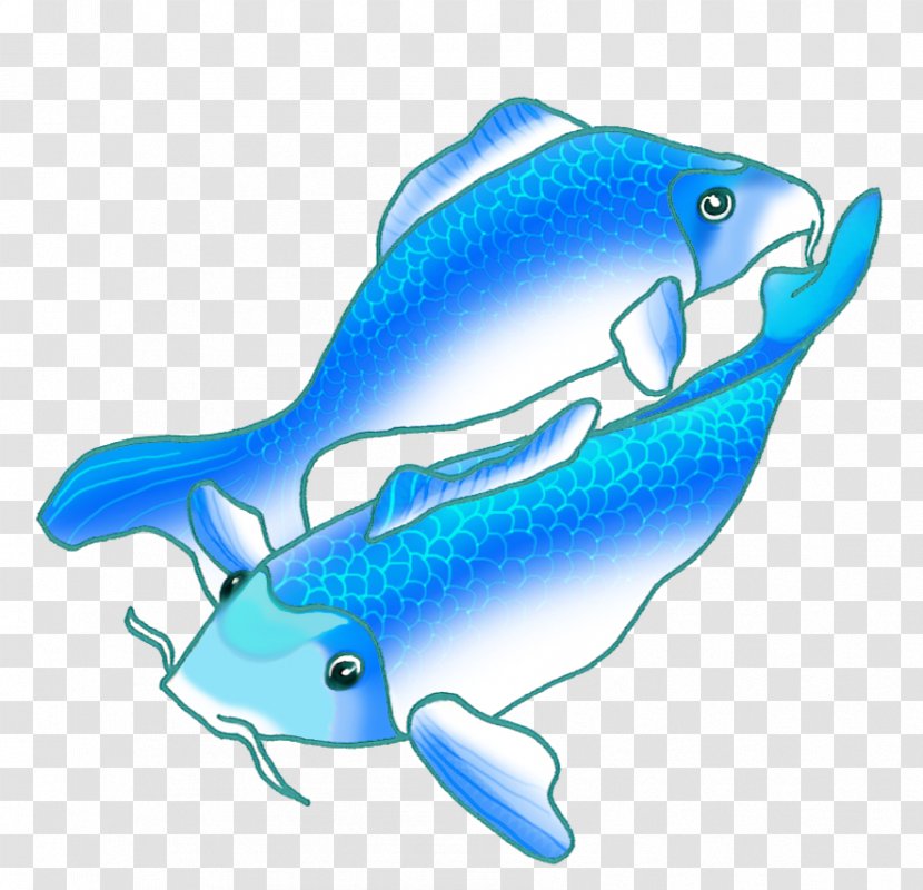 Koi Fish Drawing Blue Clip Art - Short Beaked Common Dolphin Transparent PNG