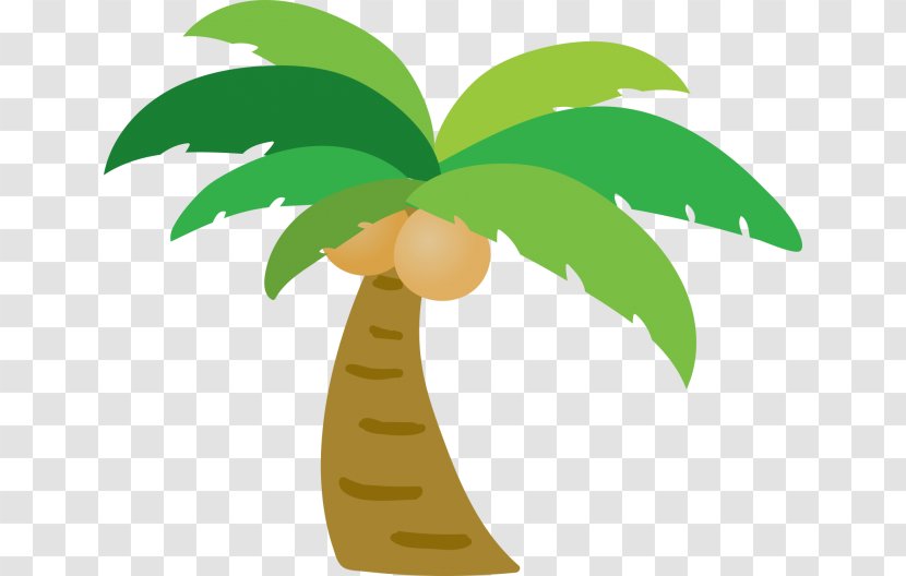 Arecaceae Coconut Tree Transparent PNG