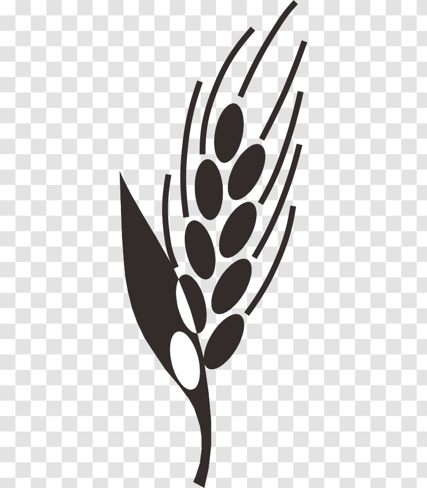 Black And White Paddy Field Rice Clip Art - Wheat Transparent PNG