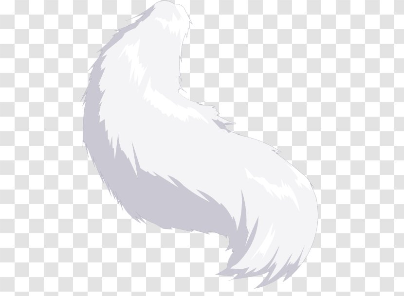 Cat Tail Feather Paw Pet - Wing Transparent PNG