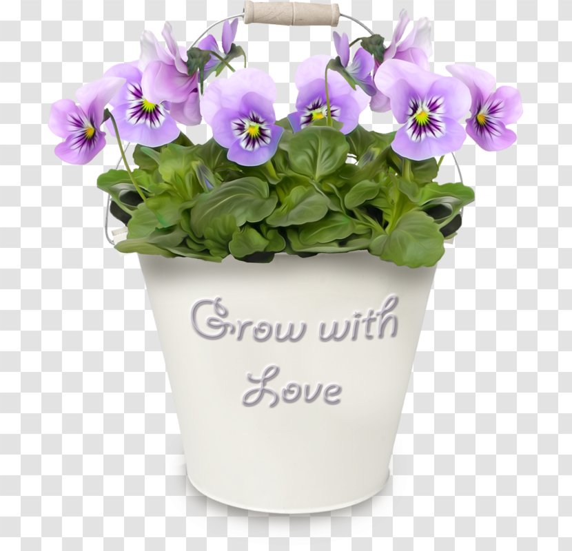 Pansy Flowerpot Clip Art - Viola - Flower Transparent PNG