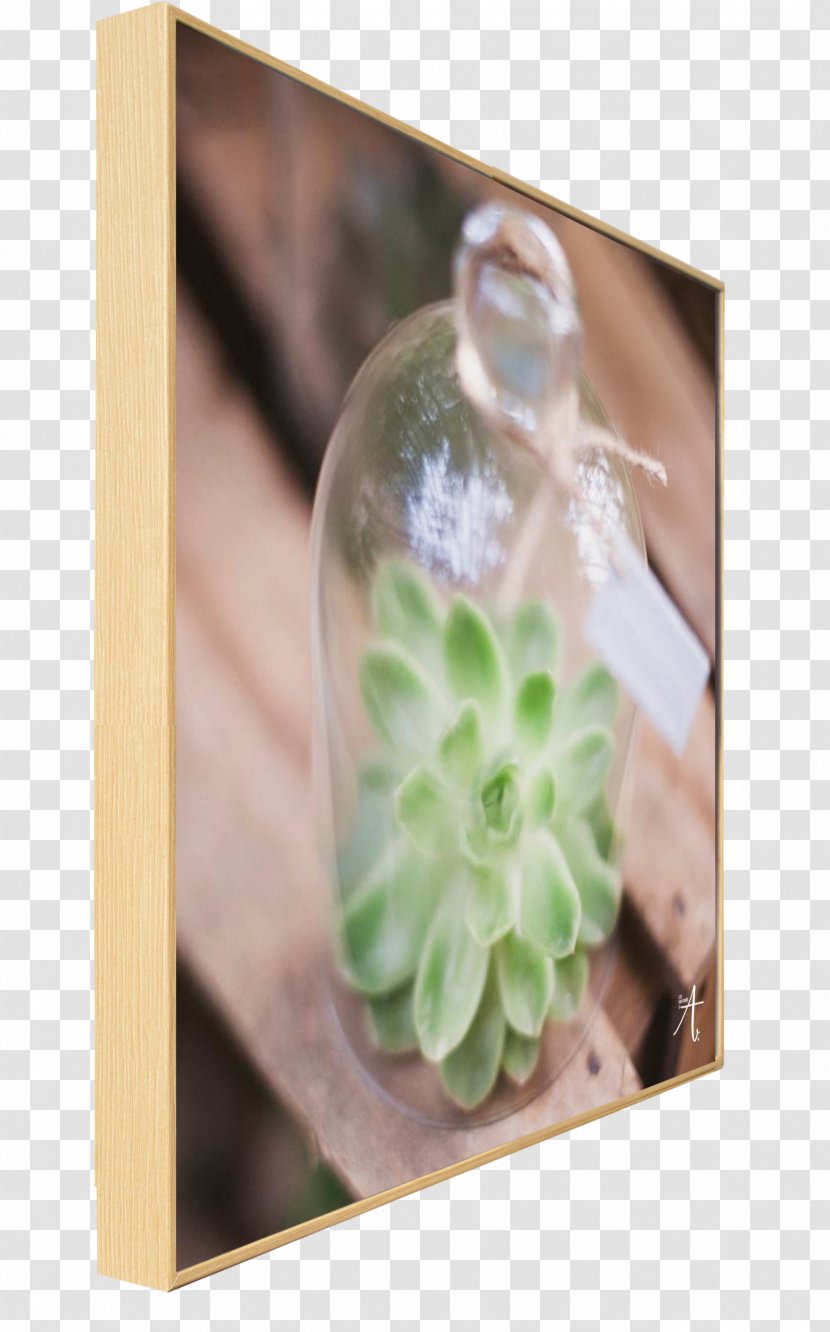 Flower - Glass Transparent PNG