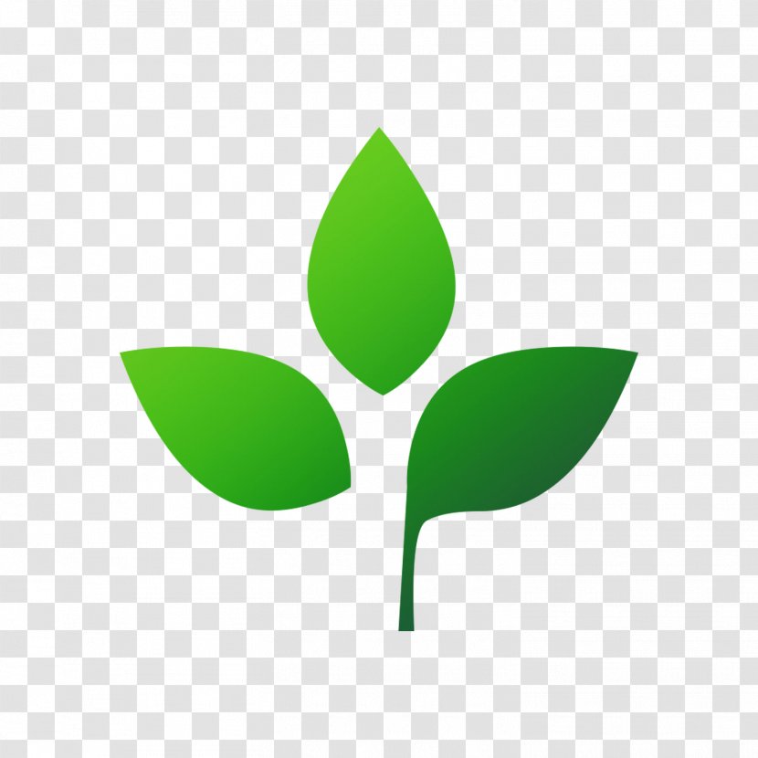 Food Produce Logo Plants Font - Health Transparent PNG