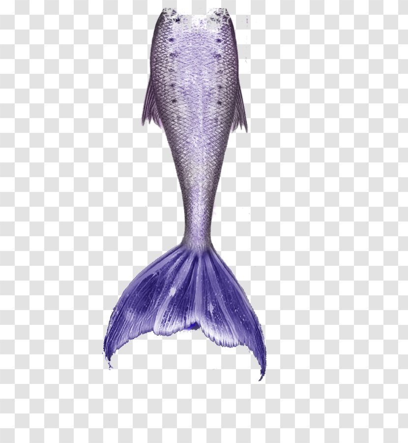 Mermaid Clip Art - Fairy - Tail Free Download Transparent PNG