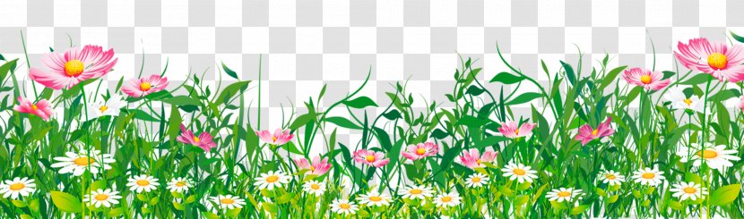 Flower Clip Art - Petal - Grass With Flowers Clipart Transparent PNG