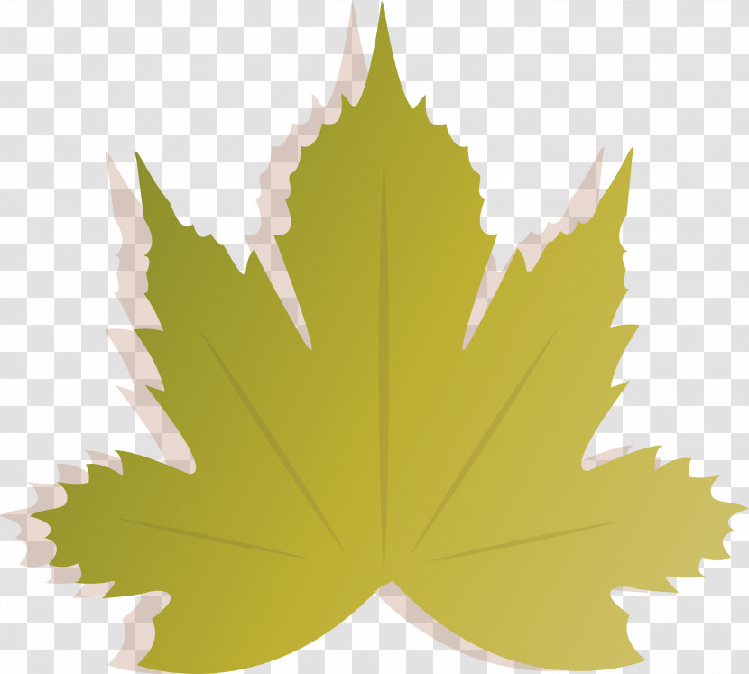 Autumn Transparent PNG