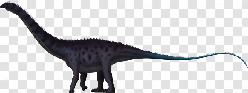 Apatosaurus Brachiosaurus Brontosaurus Dinosaur Brachytrachelopan - Jurassic Park Transparent PNG