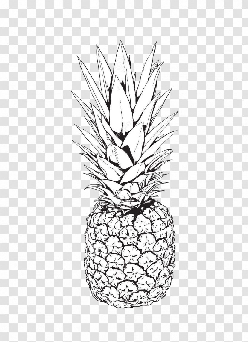 Pineapple Drawing Clip Art - Monochrome - Hand-painted Transparent PNG