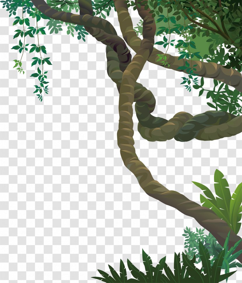 Landscape Jungle Euclidean Vector - Stock Photography - Forest Giant Vine Ri Transparent PNG