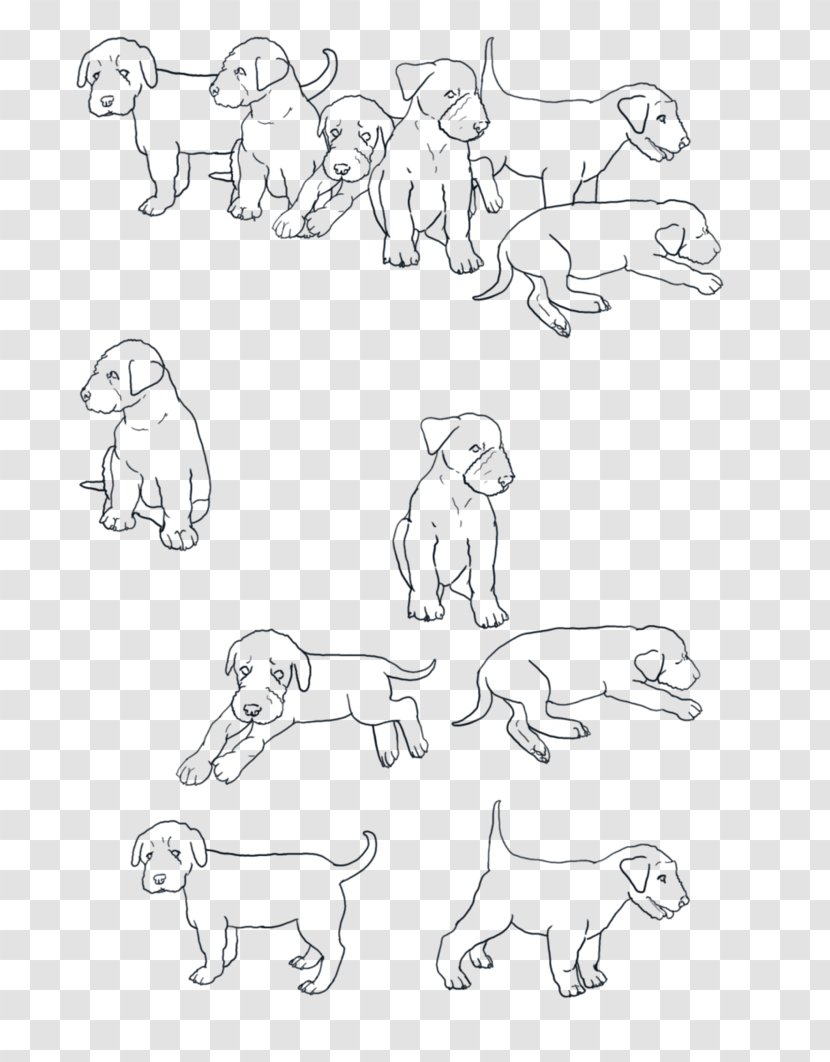 Airedale Terrier Australian Sketch Line Art - Mammal - Colletion Transparent PNG