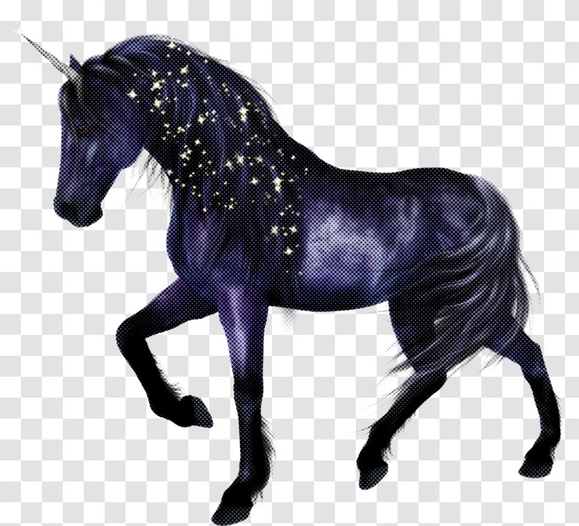 Unicorn - Stallion - Shetland Pony Mare Transparent PNG