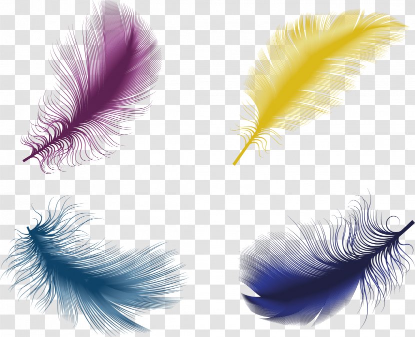 The Floating Feather Bird Euclidean Vector - Quill - Color Material Transparent PNG