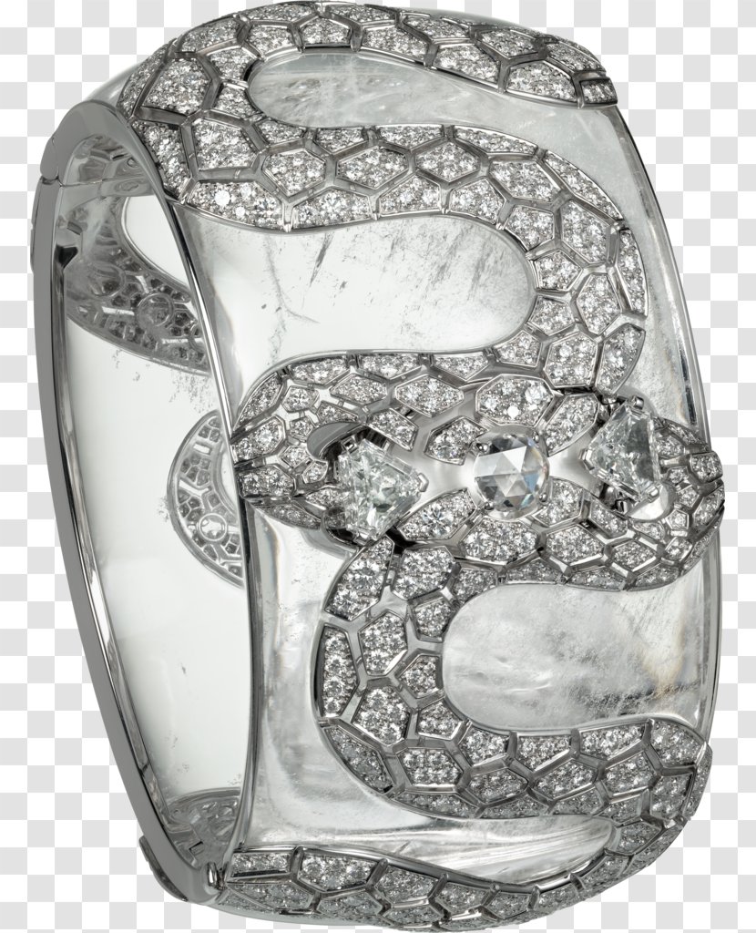 Diamond Cut Brilliant Jewellery Ruby - Bling - Model Transparent PNG