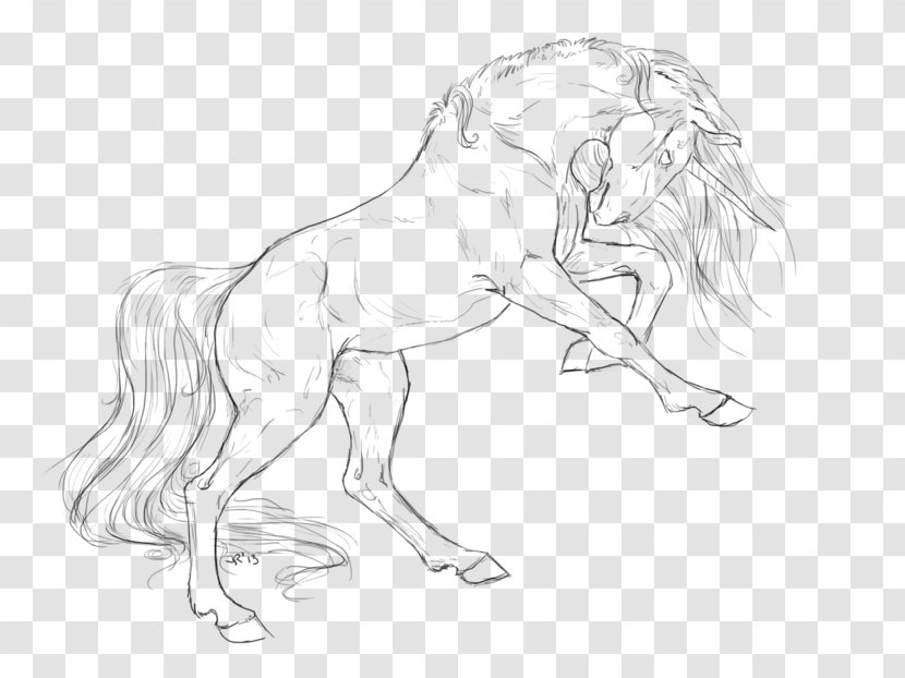 Mustang Mane Pack Animal Drawing Sketch - Carnivora Transparent PNG