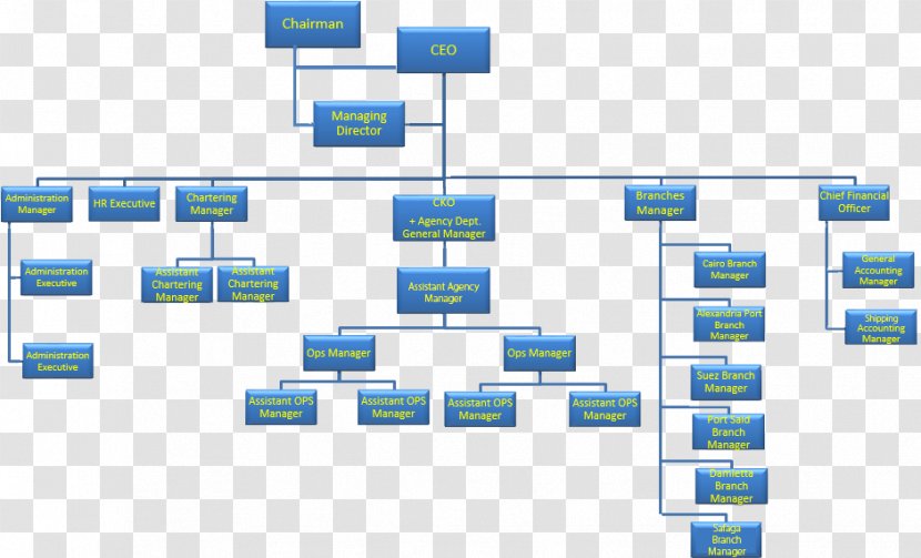 Organizational Chart Senior Management Structure - Area Transparent PNG