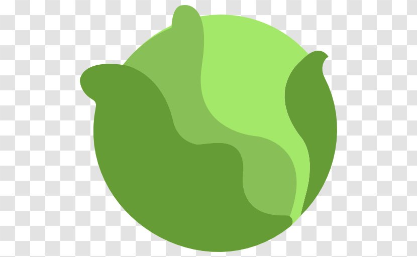 Organic Food Vegetable Cabbage - Plant Transparent PNG